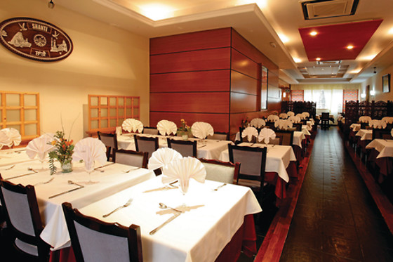 INDIAN RESTAURANT SHANTI - photo 4