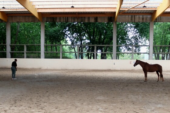 KUDA - photo 2
