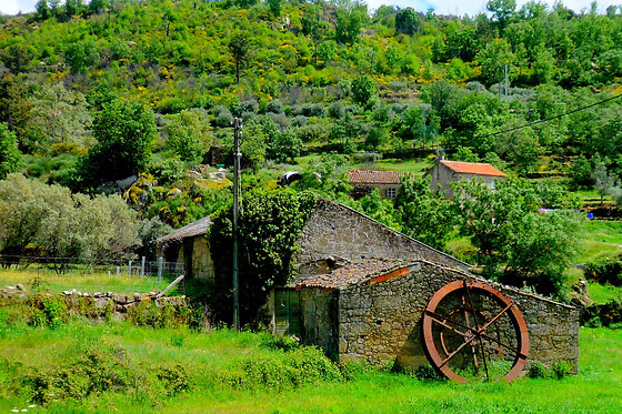 CASAS DO PELOURINHO - photo 0