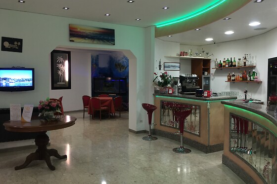 Hotel Villa Camilla - photo 3