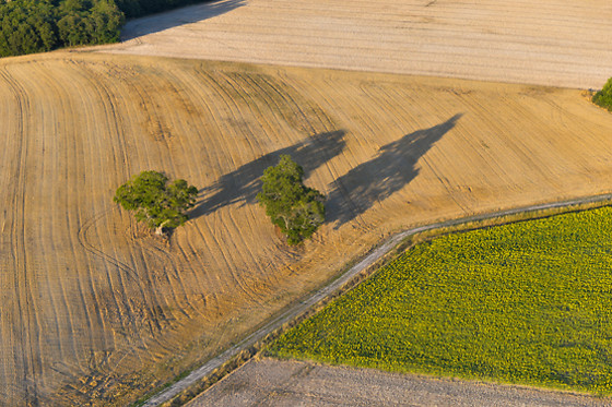 Art Montgolfières - photo 11