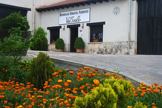 BODEGAS ISMAEL ARROYO - VALSOTILLO - photo 8