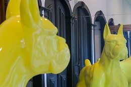 RM GUEST HOUSE | THE EXPERIENCE