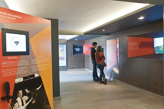 Maison de la Salers - photo 10