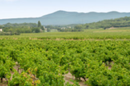 Domaine de Montine