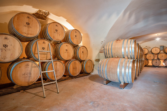 Domaine de Montine - photo 11