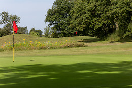 Ugolf Metz Cherisey