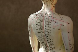 Le Point d'Équilibre Shiatsu