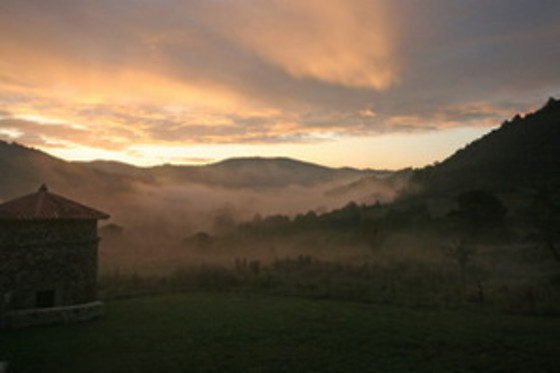 HOTEL CASONA CUERVO - photo 1