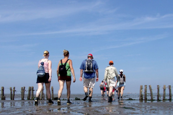 Wadlopen Pieterburen - photo 3
