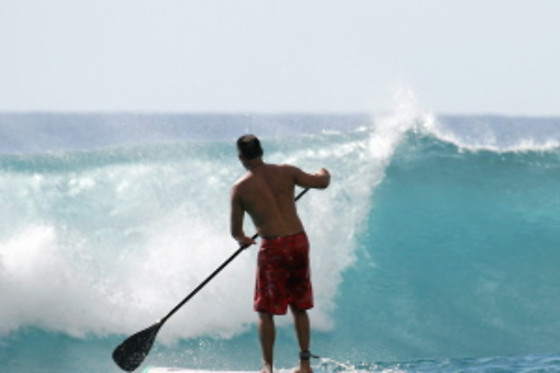 Wave School - photo 29