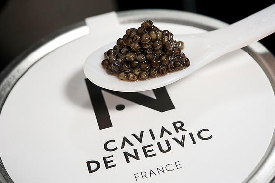 Caviar de Neuvic - photo 4