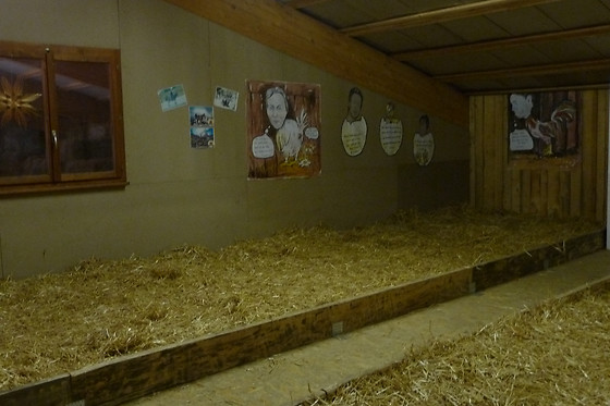Zucht- und Reitstall Gentinetta - photo 5