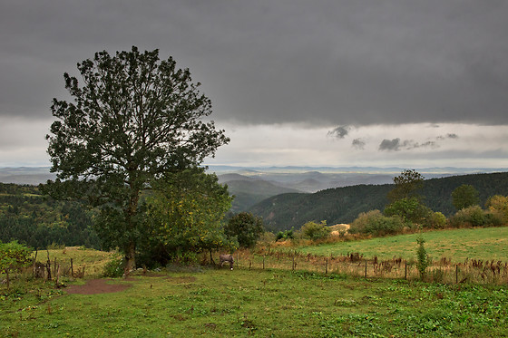 Auberge de pays L'Herminette - photo 3