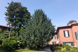 B&B Villa Magnolia