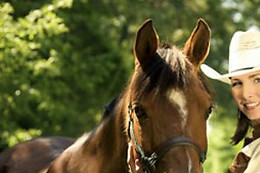 Centre Equestre les Onglous