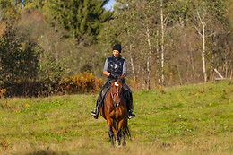 Centre Equestre les Onglous