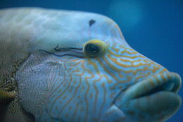 Aquarium de Paris