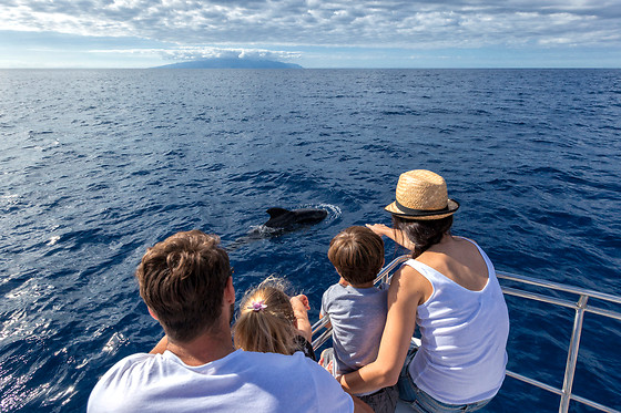 WHITE TENERIFE - photo 12