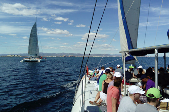 MUNDO MARINO ALICANTE - photo 4