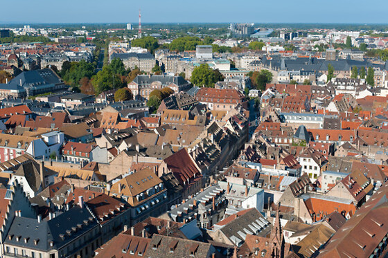 Wingly - photo 8