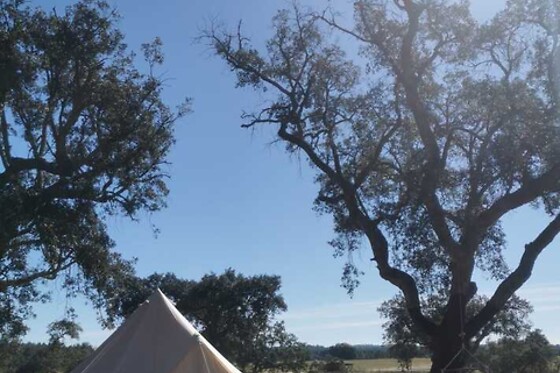 Direction South Glamping - photo 6