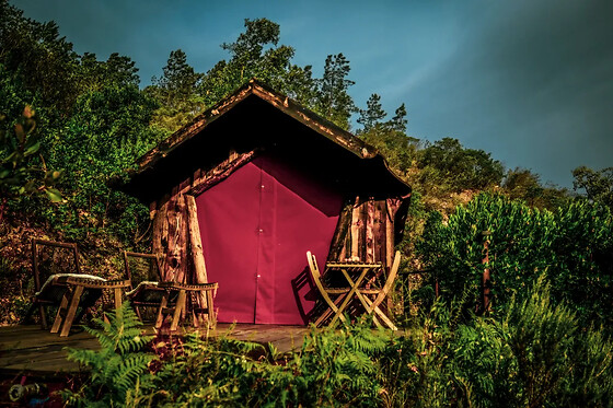 Quinta Alma, ecological Retreat Farm - photo 8