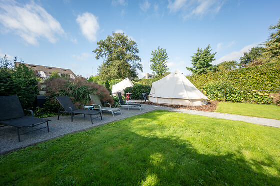 De Witte Merel & Hotel at home - photo 11