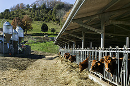 Domaine de la Trille