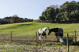 Domaine de la Trille