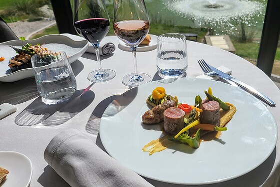 Domaine Ribiera - photo 25