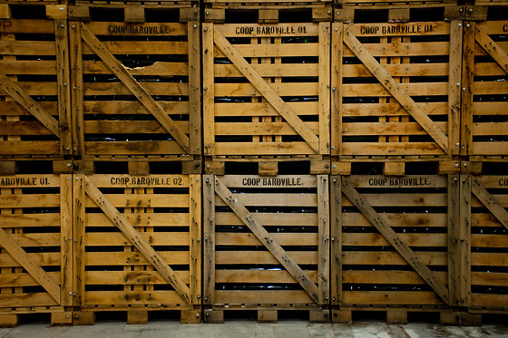 Champagne de Barfontarc - photo 4
