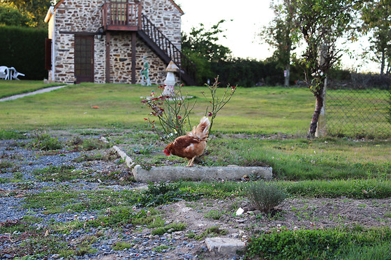 Maison MooMoon's - photo 9