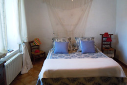 MAS CASTA NÉA
