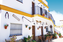 CASA RURAL EL LIMONERO