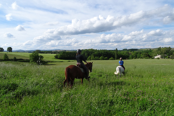 Un Poney, une histoire - photo 10