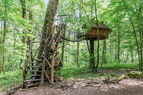 L'Arbre à Cabane - photo 9