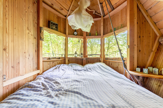 L'Arbre à Cabane - photo 3