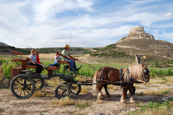 BODEGAS COMENGE - photo 5