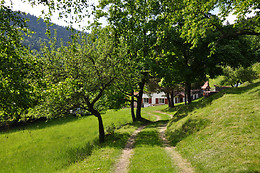Ferme SAXERMATT