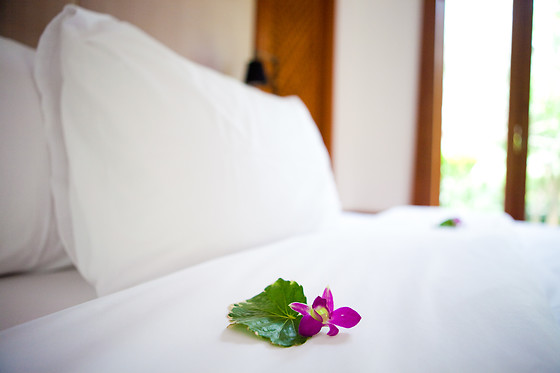 HOTEL EL JISU - photo 0