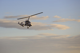 Volitude