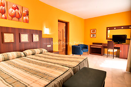 HOTEL  NUEVO PALAS