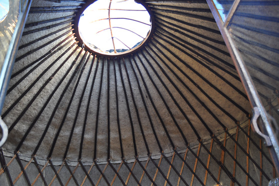 La petite tanière de loups - photo 8