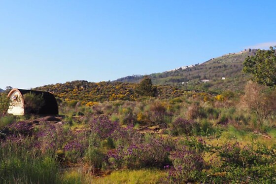 Quinta do Maral Espaço Naturista - photo 1