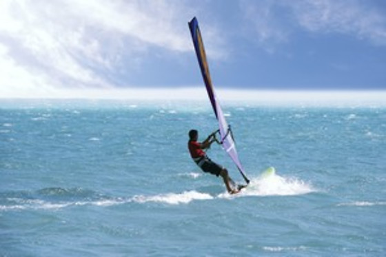 Wave School - photo 25