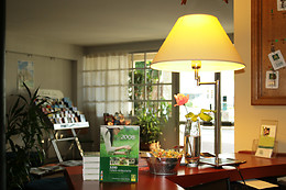 Hôtel Le Capricorne