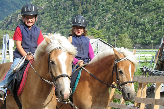 Zucht- und Reitstall Gentinetta - photo 9