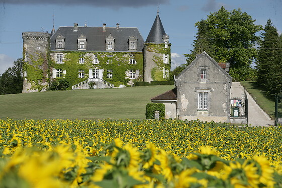 Château de la Côte - photo 12