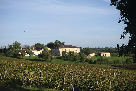 L'école du vin Ludivinum - photo 5